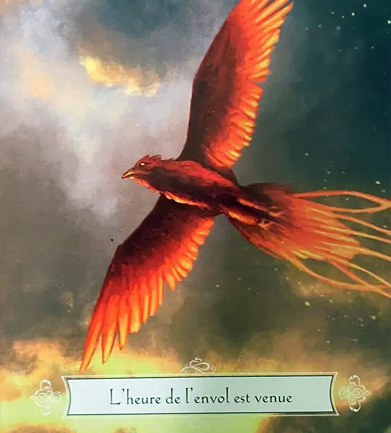 Phénix avec phrase l'heure de l'envol est venue